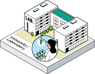 University / Laboratory