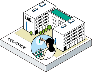 大学／研究所